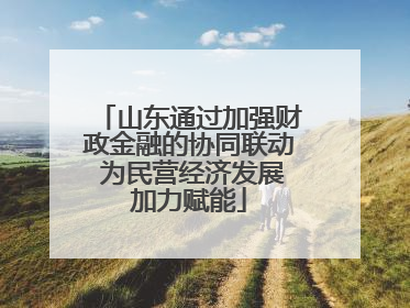 山东通过加强财政金融的协同联动 为民营经济发展加力赋能