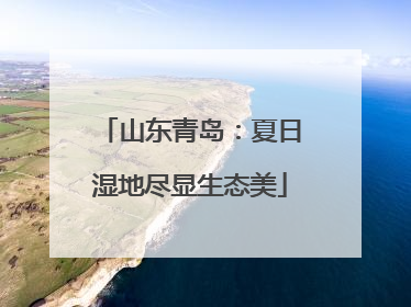 山东青岛：夏日湿地尽显生态美