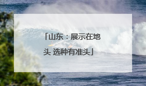 山东：展示在地头 选种有准头
