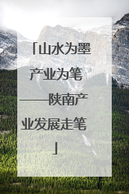 山水为墨 产业为笔——陕南产业发展走笔