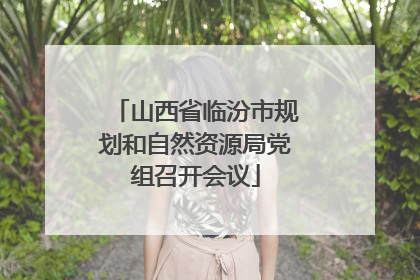 山西省临汾市规划和自然资源局党组召开会议