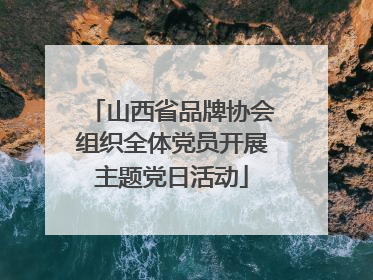山西省品牌协会组织全体党员开展主题党日活动