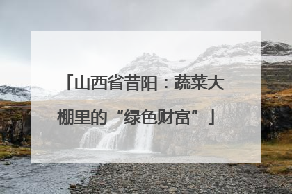山西省昔阳：蔬菜大棚里的“绿色财富”