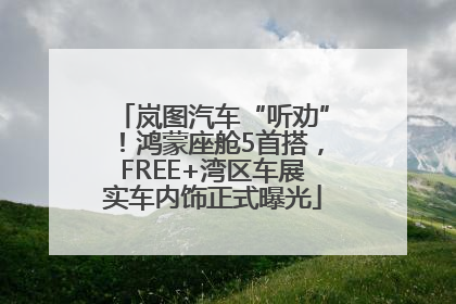 岚图汽车“听劝”！鸿蒙座舱5首搭，FREE+湾区车展实车内饰正式曝光