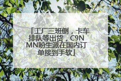 工厂三班倒，卡车排队等出货，C9NMN盼生派在国内订单接到手软