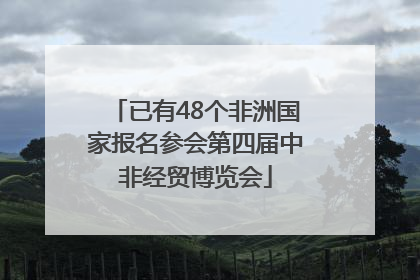已有48个非洲国家报名参会第四届中非经贸博览会