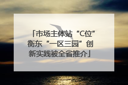市场主体站“C位” 衡东“一区三园”创新实践被全省推介