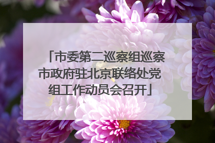 市委第二巡察组巡察市政府驻北京联络处党组工作动员会召开