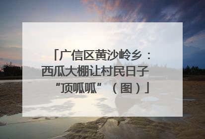 广信区黄沙岭乡：西瓜大棚让村民日子“顶呱呱”（图）