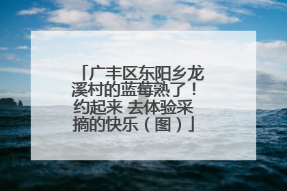 广丰区东阳乡龙溪村的蓝莓熟了！约起来 去体验采摘的快乐（图）