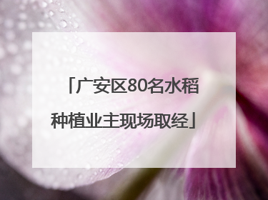 广安区80名水稻种植业主现场取经