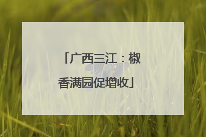 广西三江：椒香满园促增收