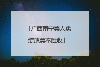 广西南宁美人蕉绽放美不胜收