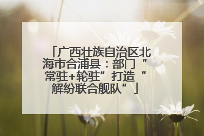 广西壮族自治区北海市合浦县：部门“常驻+轮驻”打造“解纷联合舰队”