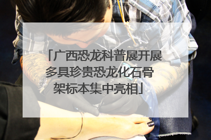 广西恐龙科普展开展 多具珍贵恐龙化石骨架标本集中亮相