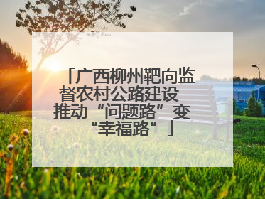 广西柳州靶向监督农村公路建设 推动“问题路”变“幸福路”