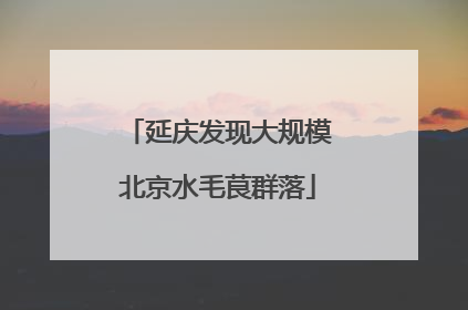 延庆发现大规模北京水毛茛群落