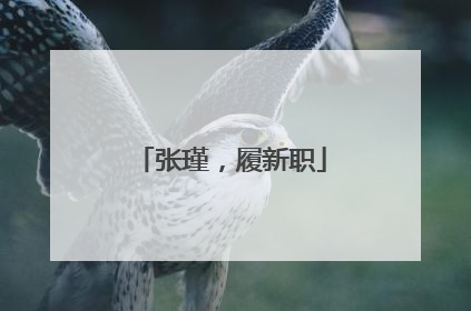 张瑾，履新职