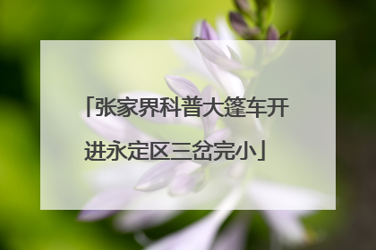 张家界科普大篷车开进永定区三岔完小