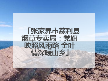 张家界市慈利县烟草专卖局：党旗映照风雨路 金叶情深暖山乡