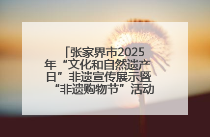 张家界市2025年“文化和自然遗产日”非遗宣传展示暨“非遗购物节”活动在慈利县盛大启幕