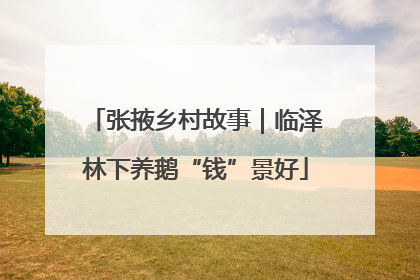 张掖乡村故事｜临泽林下养鹅“钱”景好