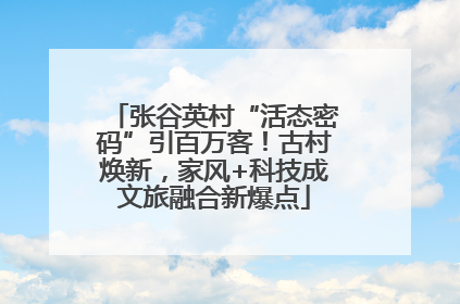 张谷英村“活态密码”引百万客！古村焕新，家风+科技成文旅融合新爆点