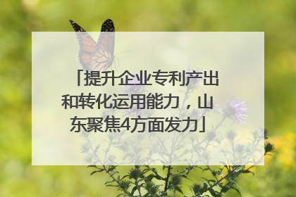 提升企业专利产出和转化运用能力，山东聚焦4方面发力