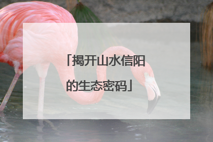 揭开山水信阳的生态密码