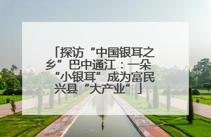 探访“中国银耳之乡”巴中通江：一朵“小银耳”成为富民兴县“大产业”