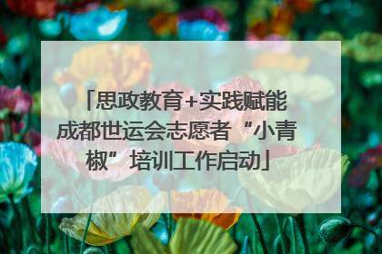 思政教育+实践赋能 成都世运会志愿者“小青椒”培训工作启动