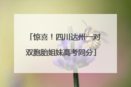 惊喜！四川达州一对双胞胎姐妹高考同分