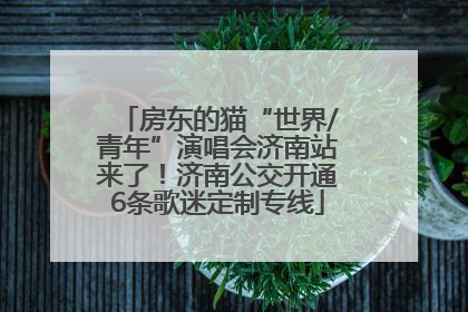 房东的猫“世界/青年”演唱会济南站来了！济南公交开通6条歌迷定制专线