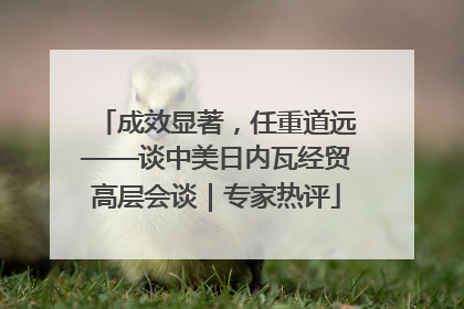 成效显著，任重道远——谈中美日内瓦经贸高层会谈｜专家热评