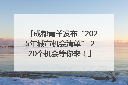 成都青羊发布“2025年城市机会清单” 220个机会等你来！