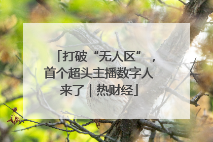 打破“无人区”，首个超头主播数字人来了｜热财经