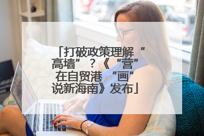 打破政策理解“高墙”？《“营”在自贸港 “画”说新海南》发布