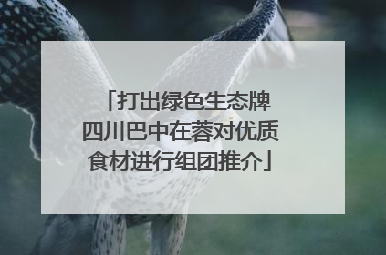 打出绿色生态牌 四川巴中在蓉对优质食材进行组团推介
