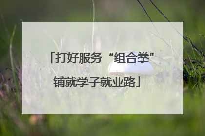 打好服务“组合拳” 铺就学子就业路