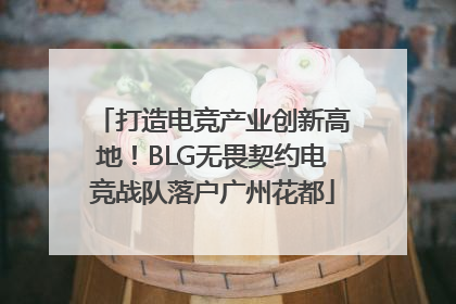 打造电竞产业创新高地！BLG无畏契约电竞战队落户广州花都