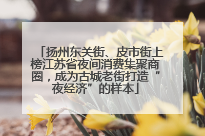 扬州东关街、皮市街上榜江苏省夜间消费集聚商圈，成为古城老街打造“夜经济”的样本