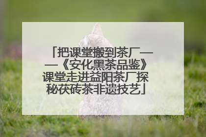 把课堂搬到茶厂——《安化黑茶品鉴》课堂走进益阳茶厂探秘茯砖茶非遗技艺