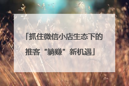 抓住微信小店生态下的推客“躺赚”新机遇