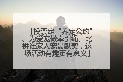 投票定“养宠公约”、为爱宠做牵引绳、比拼谁家人宠最默契，这场活动有趣更有意义