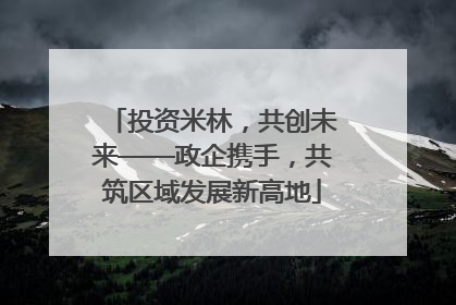 投资米林，共创未来——政企携手，共筑区域发展新高地