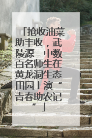 抢收油菜助丰收，武陵源一中数百名师生在黄龙洞生态田园上演“青春助农记”