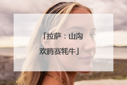 拉萨：山沟欢腾赛牦牛