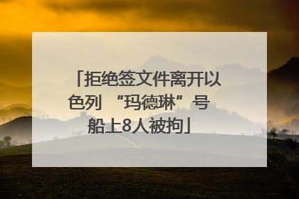 拒绝签文件离开以色列 “玛德琳”号船上8人被拘