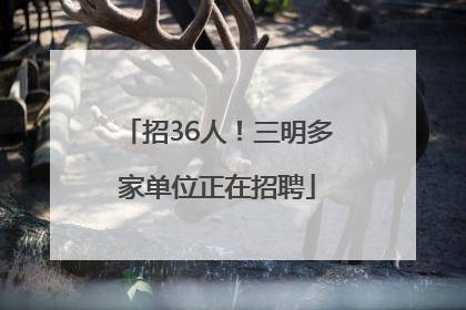招36人！三明多家单位正在招聘