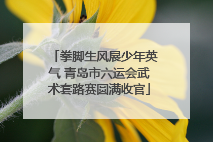 拳脚生风展少年英气 青岛市六运会武术套路赛圆满收官